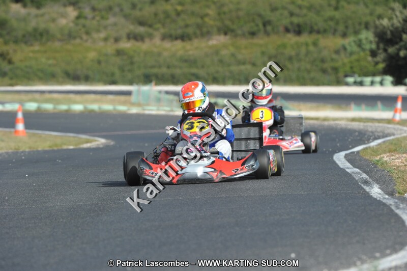 DSC (3957).JPG